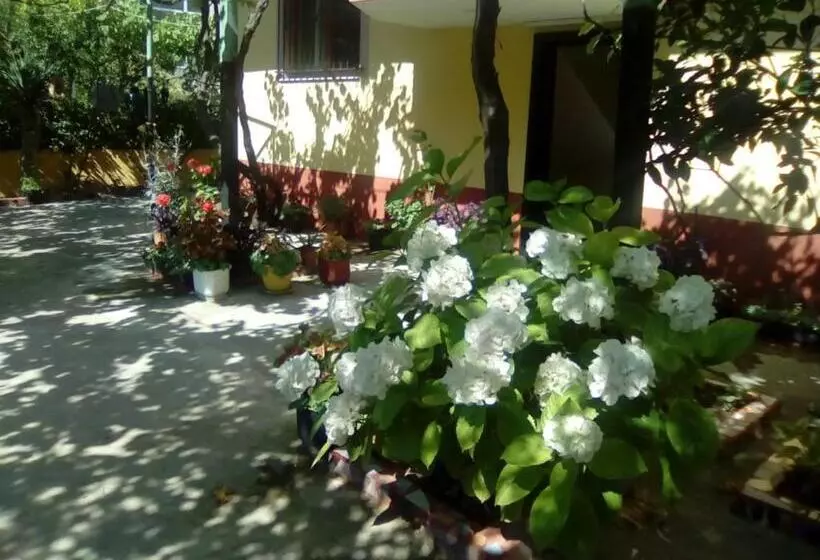پانسیون H&a Guest House