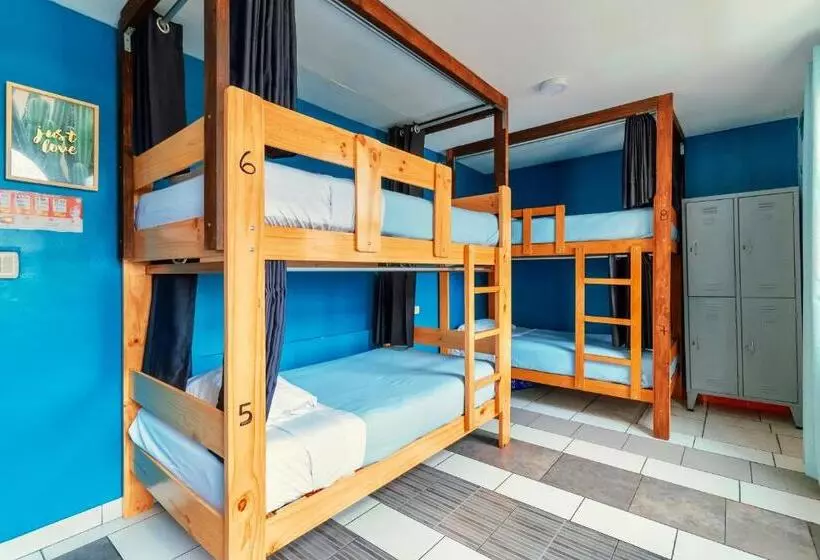 The Secret Garden Hostel