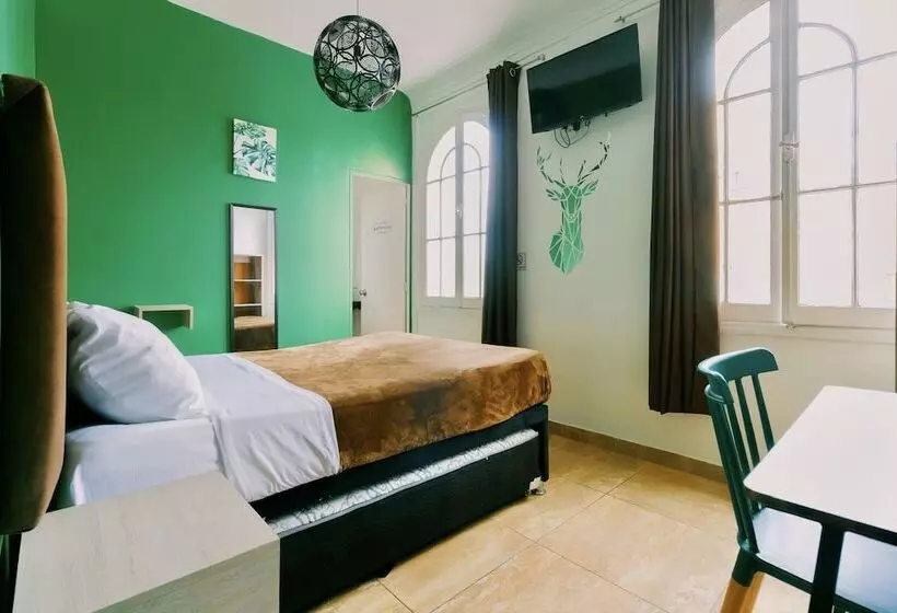 The Secret Garden Hostel