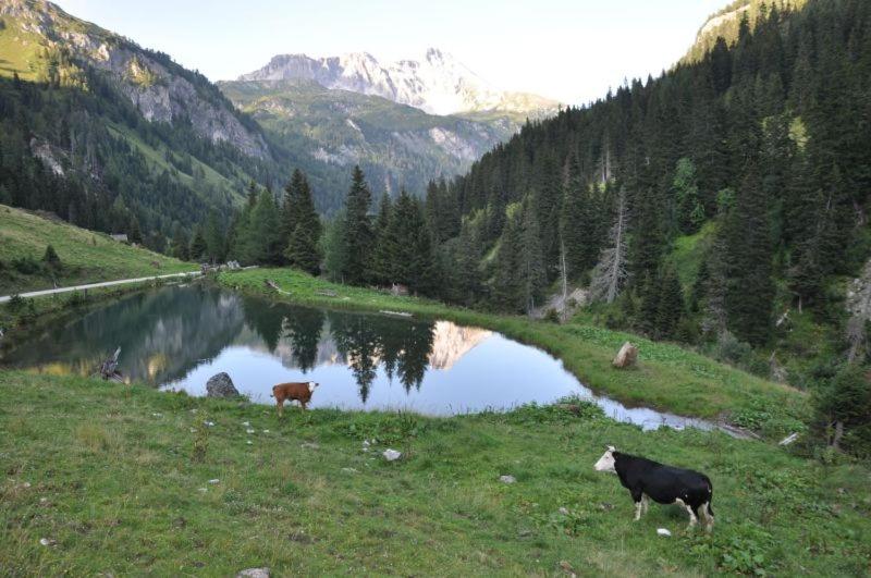 ユースホステル Gasthof Kirchenwirt