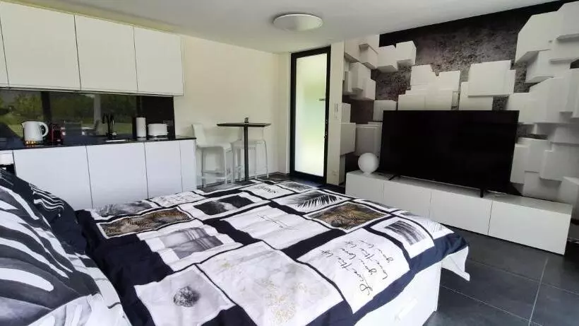 Alps Spirits B&b Studio