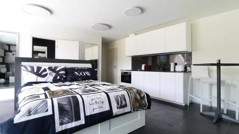 Alps Spirits B&b Studio