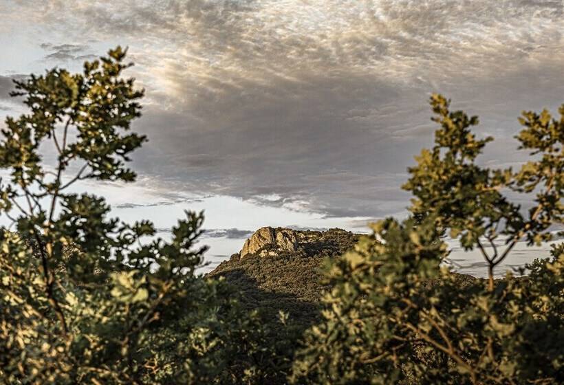 住宿加早餐 Souki ~ Lodges & Spa