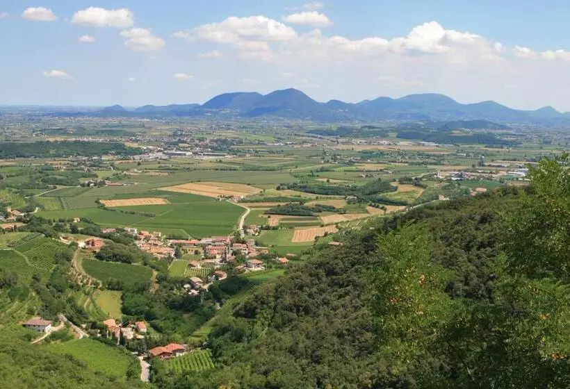ホテル Agriturismo Monte Degli Aromi