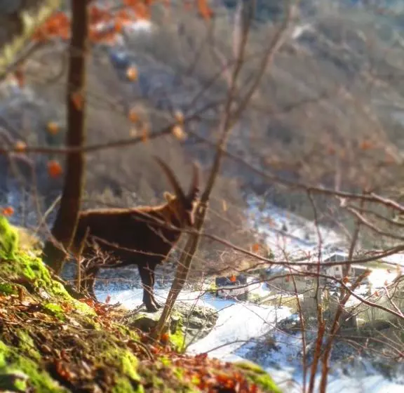 Hotelli Albergo Morandi