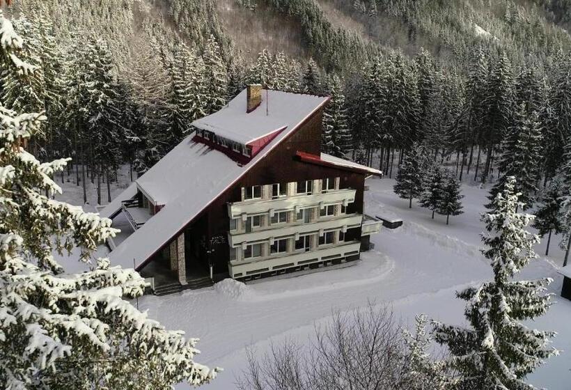 ホテル Chata Tale   Dom Horskej Služby