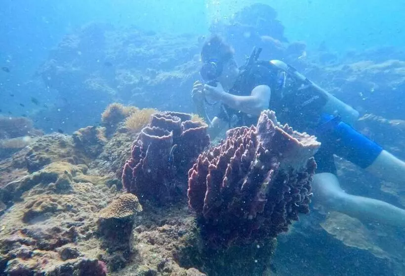 Hotelli Dugong Village Green