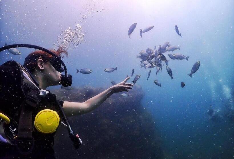 فندق Dugong Village Green