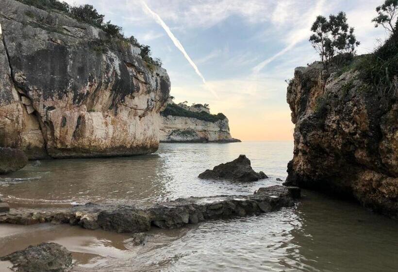 Matthew’s Home B&b