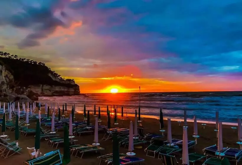 Matthew’s Home B&b