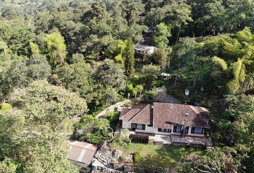 بنسيون Drapa Resort