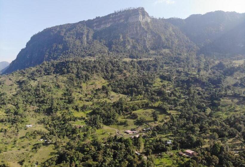 بنسيون Drapa Resort