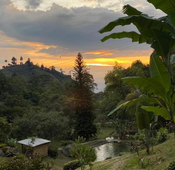 بنسيون Drapa Resort