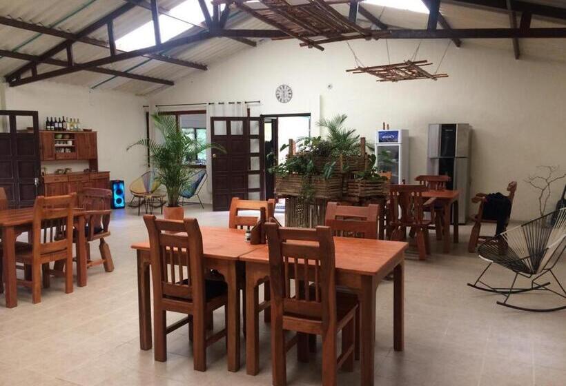 بنسيون Drapa Resort