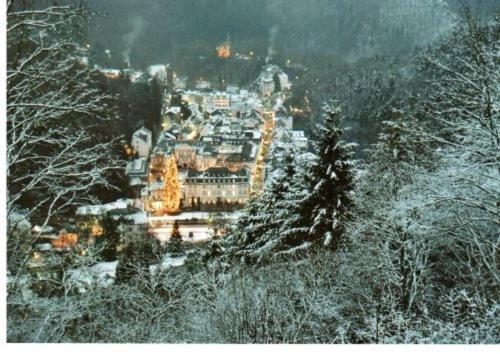 Parkhotel Bad Bertrich