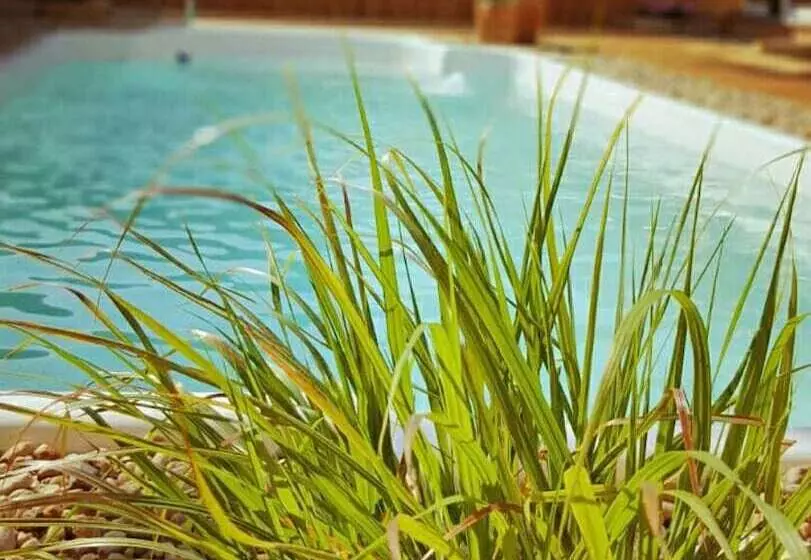 בית מלון כפרי Restaurant Und Pension Zur Puppenstube