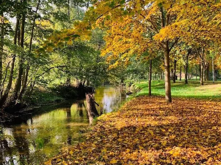 בית מלון כפרי Restaurant Und Pension Zur Puppenstube