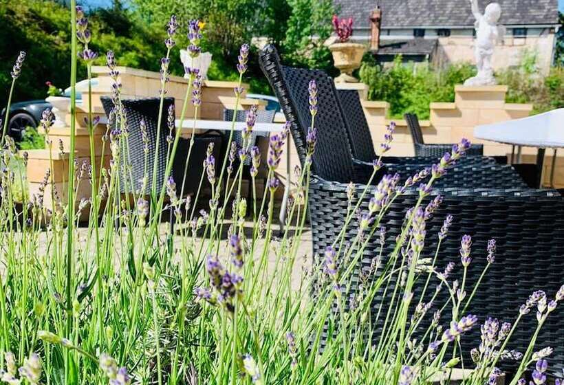 فندق Restaurant Und Pension Zur Puppenstube