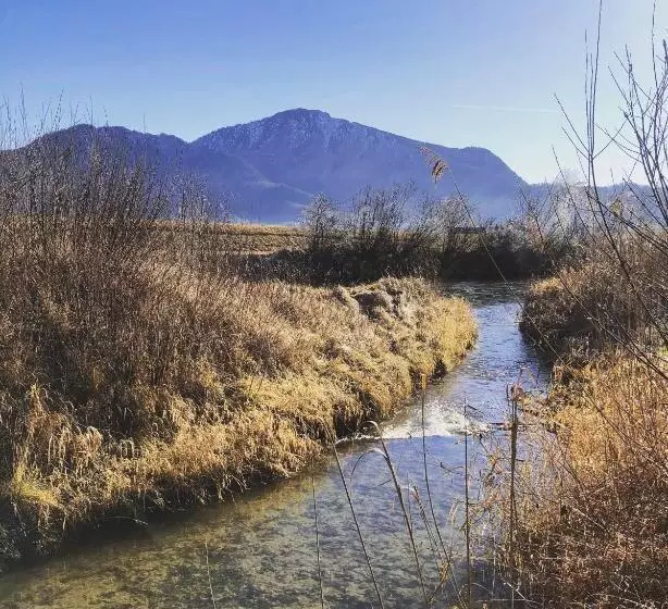 Отель Waltraud Garni