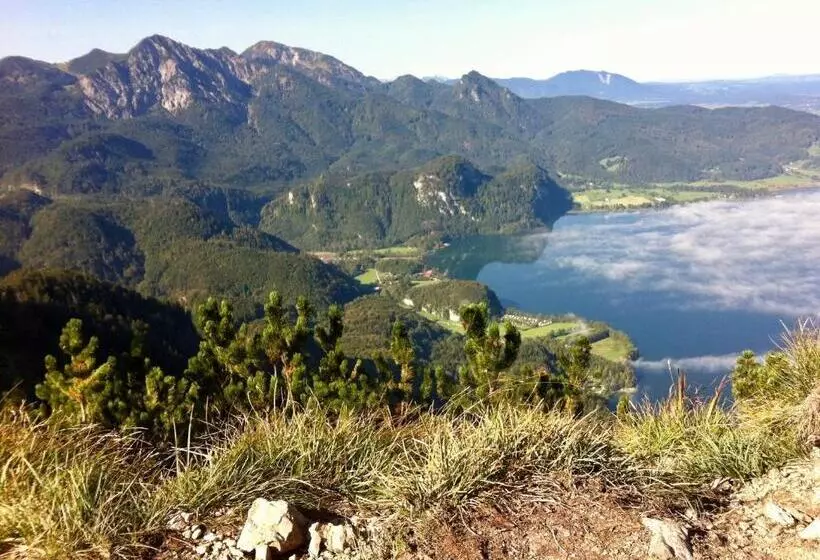 Отель Waltraud Garni