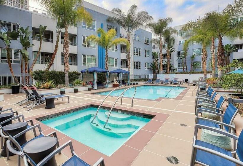 Amazing Apartments Near The Grove