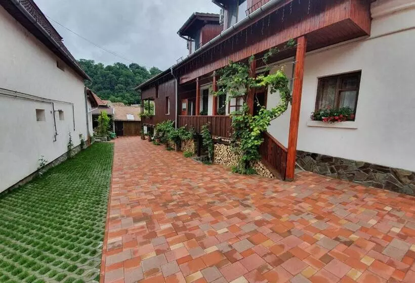 Casa Steluta