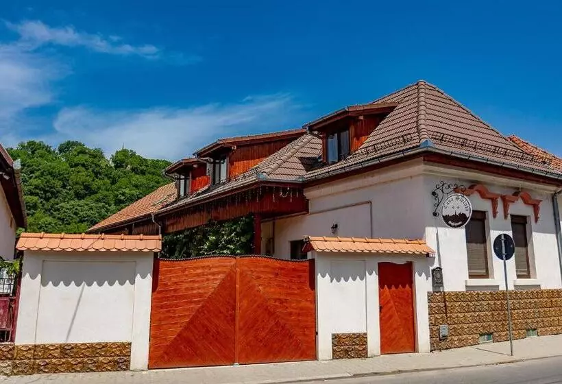 Casa Steluta