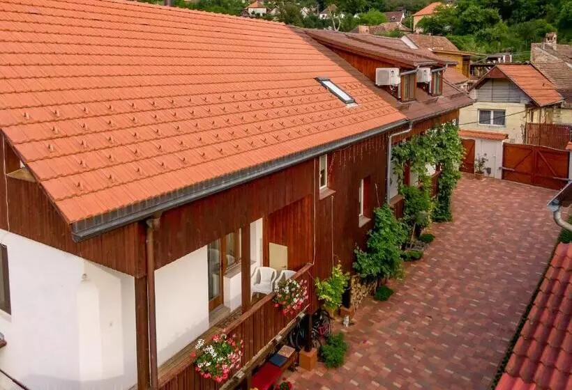 Casa Steluta