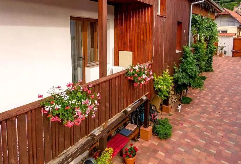 Casa Steluta