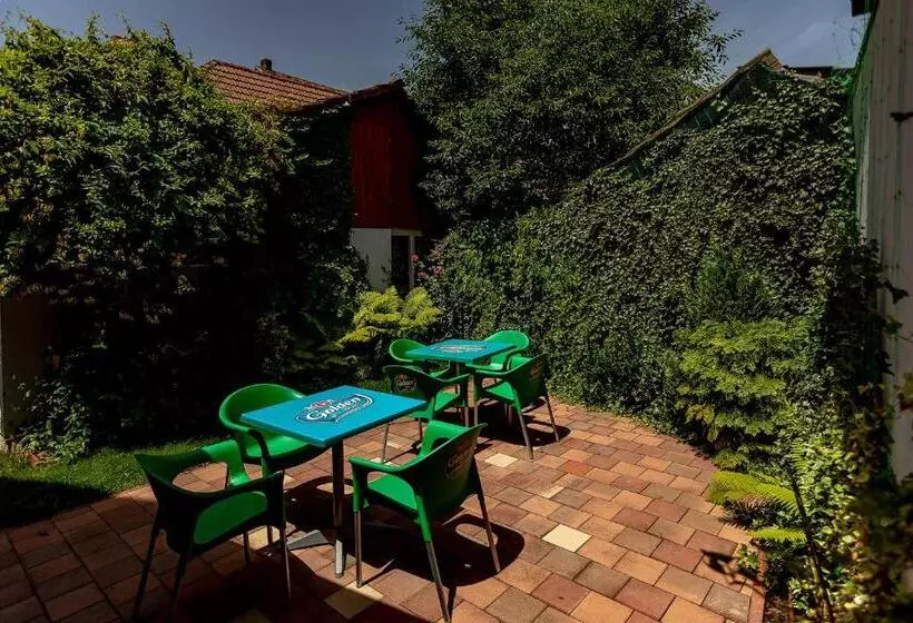 Casa Steluta