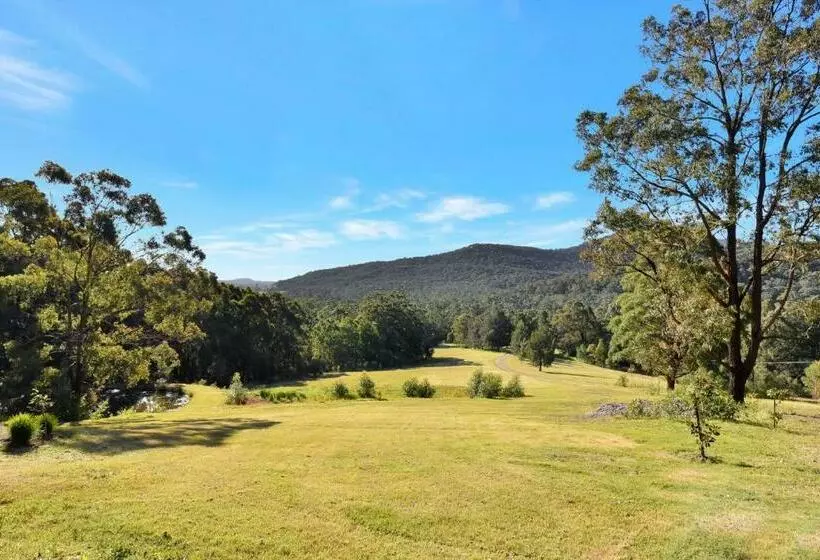 ホテル Hunter Valley Kangaroo Retreat With 60 Kangaroos
