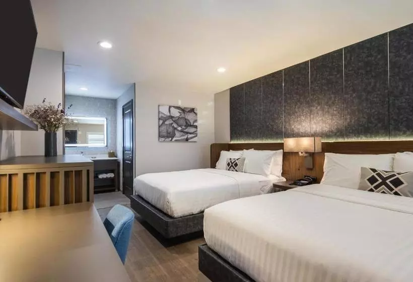 モーテル Golden Bear Hotel - Surestay Collection By Best Western