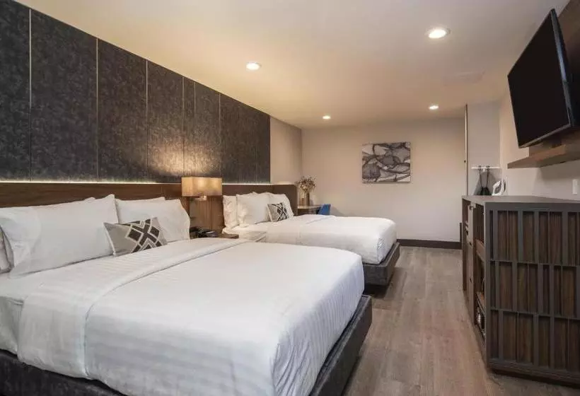 モーテル Golden Bear Hotel - Surestay Collection By Best Western