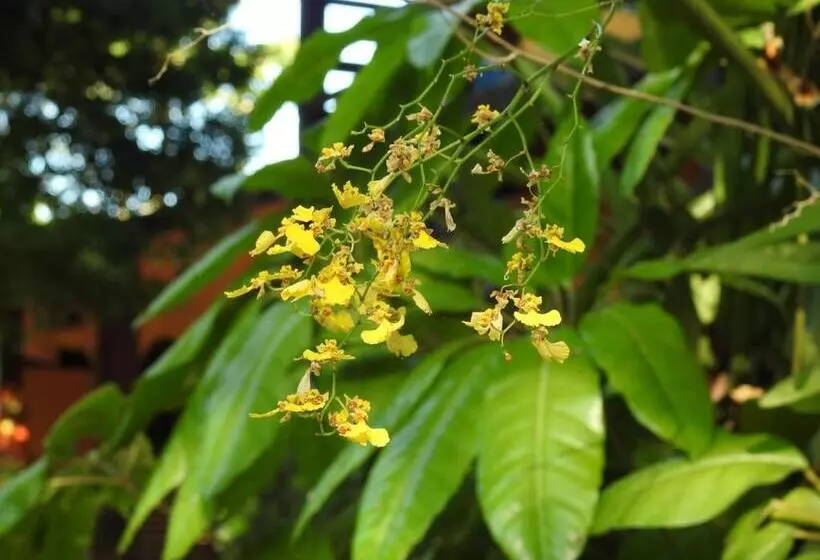 Majatalo Chalés E Flats Recanto Primavera