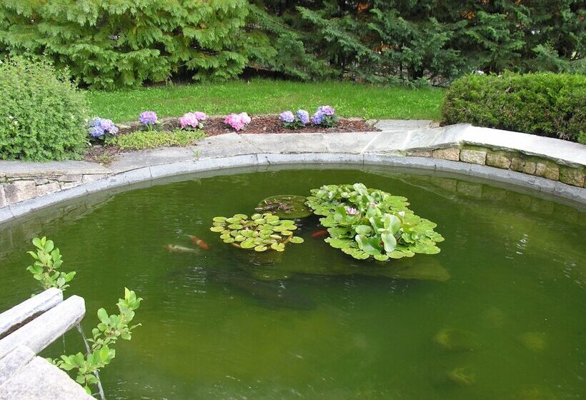 膳宿费 Chambres D Hôtes Nuits De Rêve