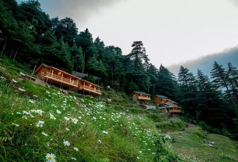 リゾートホテル Mid Conifer Cottage
