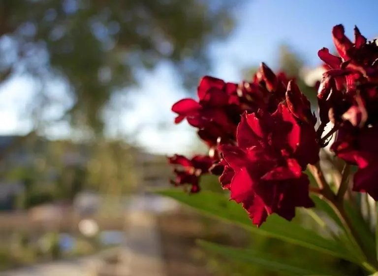 Résidence Le Clos Saint Paul
