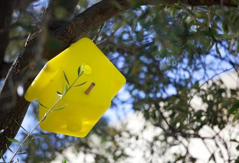 Résidence Le Clos Saint Paul