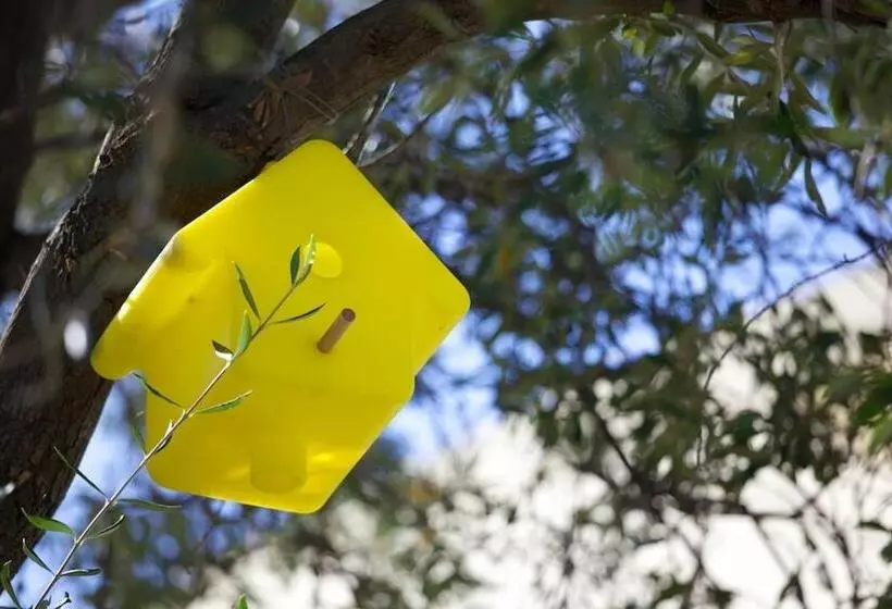 Résidence Le Clos Saint Paul