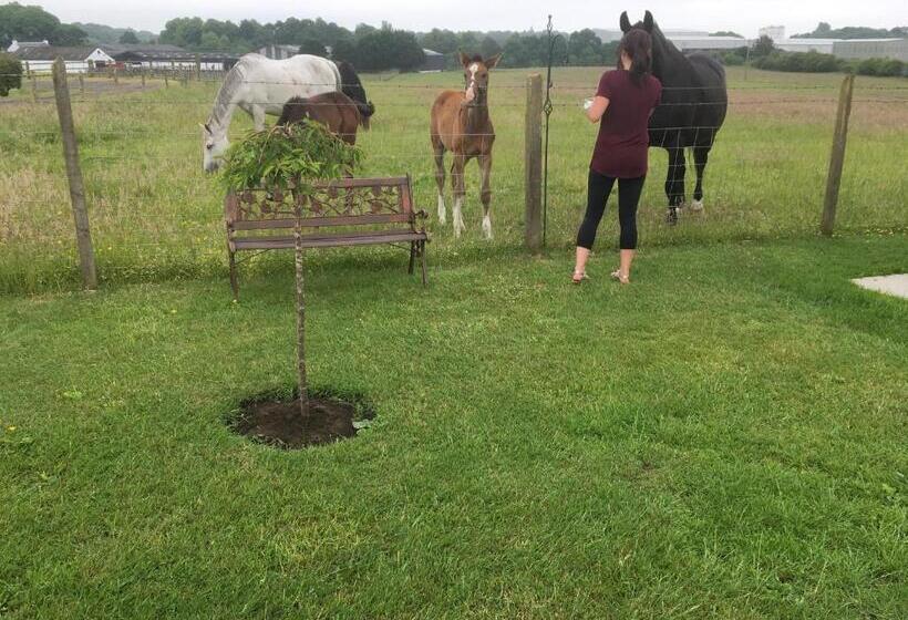 Auchenlea Bed And Breakfast