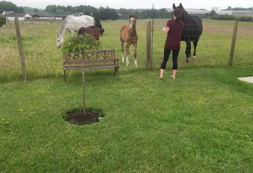 Auchenlea Bed And Breakfast