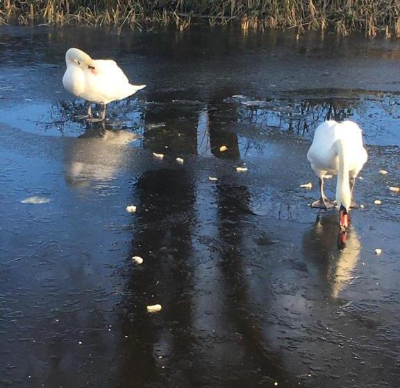 Auchenlea Bed And Breakfast