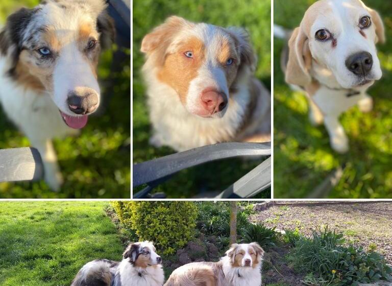 Bed and Breakfast Aux 2 Girouettes