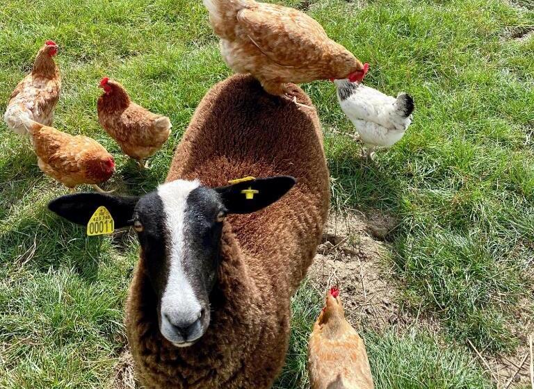 Bed and Breakfast Aux 2 Girouettes