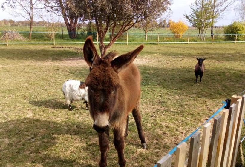 צימר La Pastorale