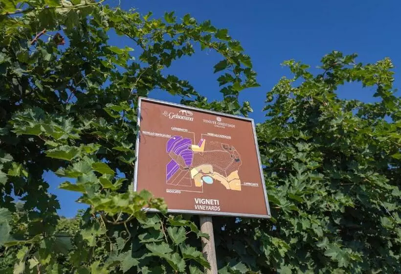 هتل La Gelsomina   Etna