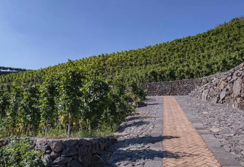 هتل La Gelsomina   Etna