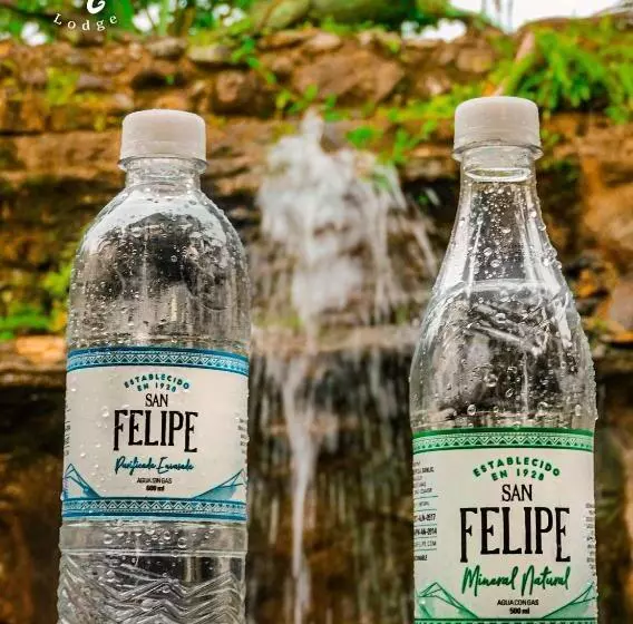 ホテル Puerto Quito Lodge