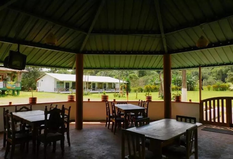 ホテル Puerto Quito Lodge