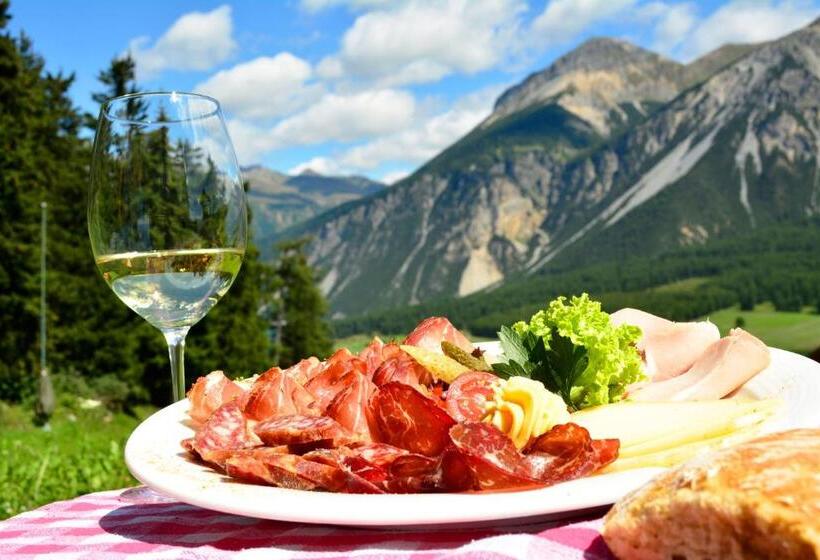 Panorama Lodges Plagött